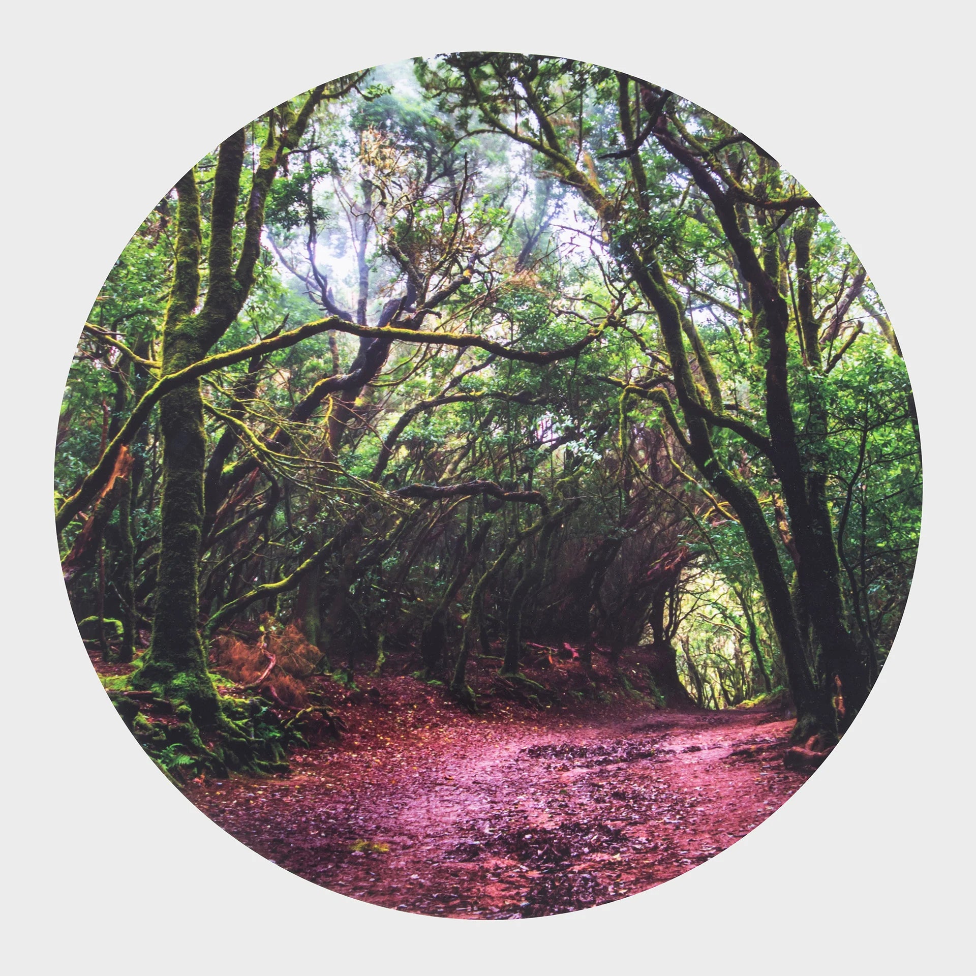 Sensory Mood Discovery Table & Forest Discovery Play Mat