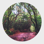 Load image into Gallery viewer, Sensory Mood Discovery Table &amp; Forest Discovery Play Mat
