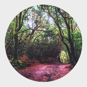 Sensory Mood Discovery Table & Forest Discovery Play Mat