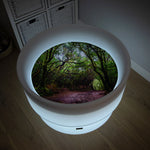 Load image into Gallery viewer, Sensory Mood Discovery Table &amp; Forest Discovery Play Mat
