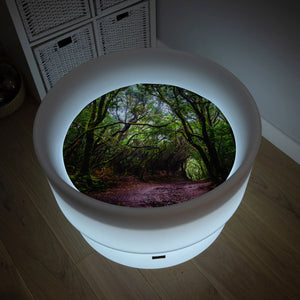 Sensory Mood Discovery Table & Forest Discovery Play Mat