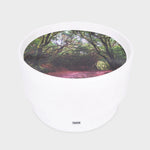 Load image into Gallery viewer, Sensory Mood Discovery Table &amp; Forest Discovery Play Mat
