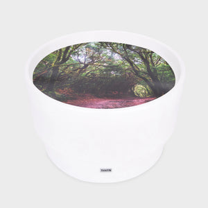 Sensory Mood Discovery Table & Forest Discovery Play Mat